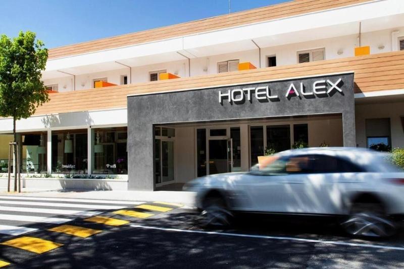Hotel Alex - Genel