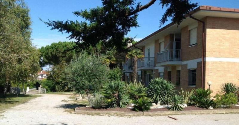 Hotel Alex - Genel