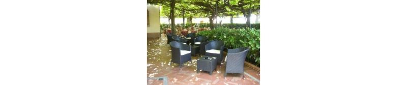 Albergo Ristorante Papa - Teras