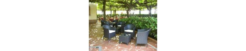 Albergo Ristorante Papa - Teras