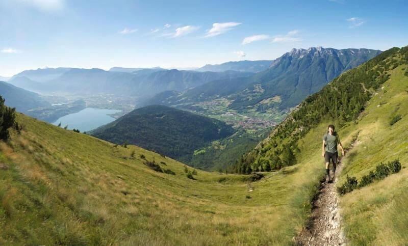Hotel Alpenrose - Genel