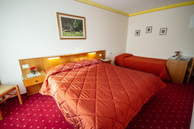 Hotel Stella Alpina - Oda