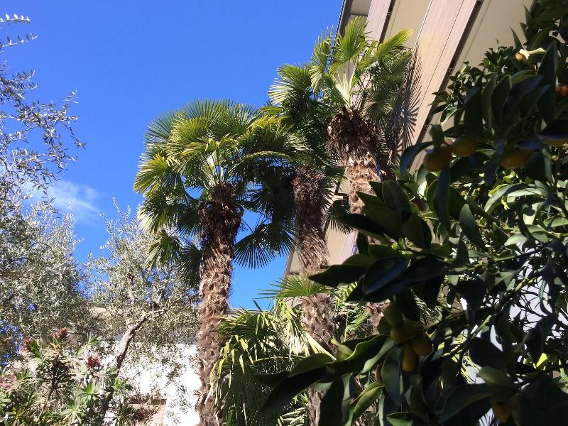 Hotel Villa Franca - Genel