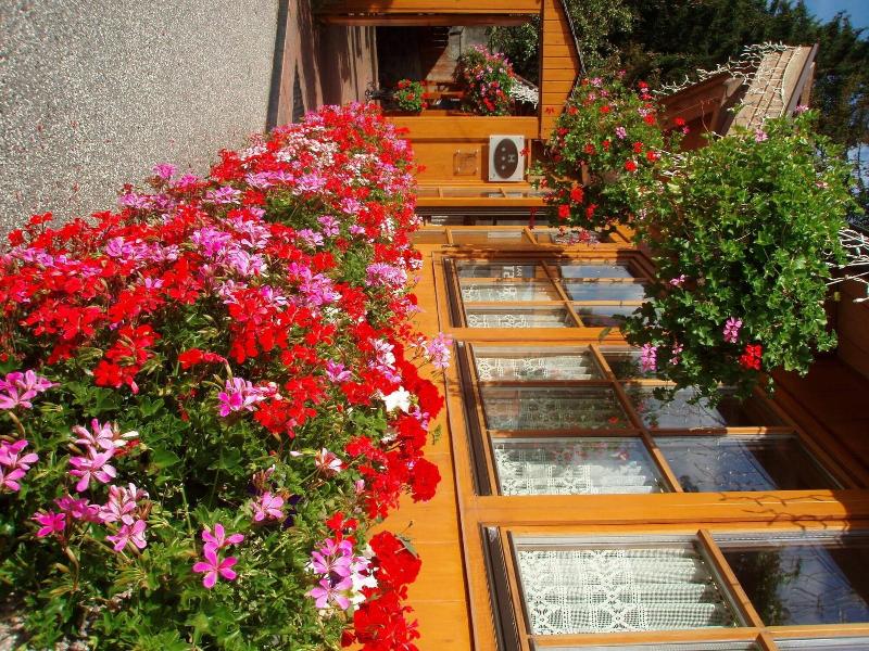 Hotel Ristorante Walter - Teras