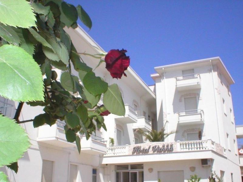 Hotel Vienna - Genel