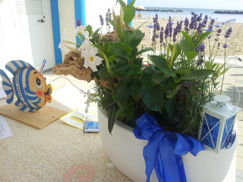 Hotel Vienna - Plaj