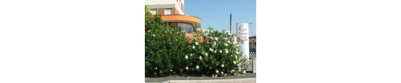 Hotel Toscana - Genel