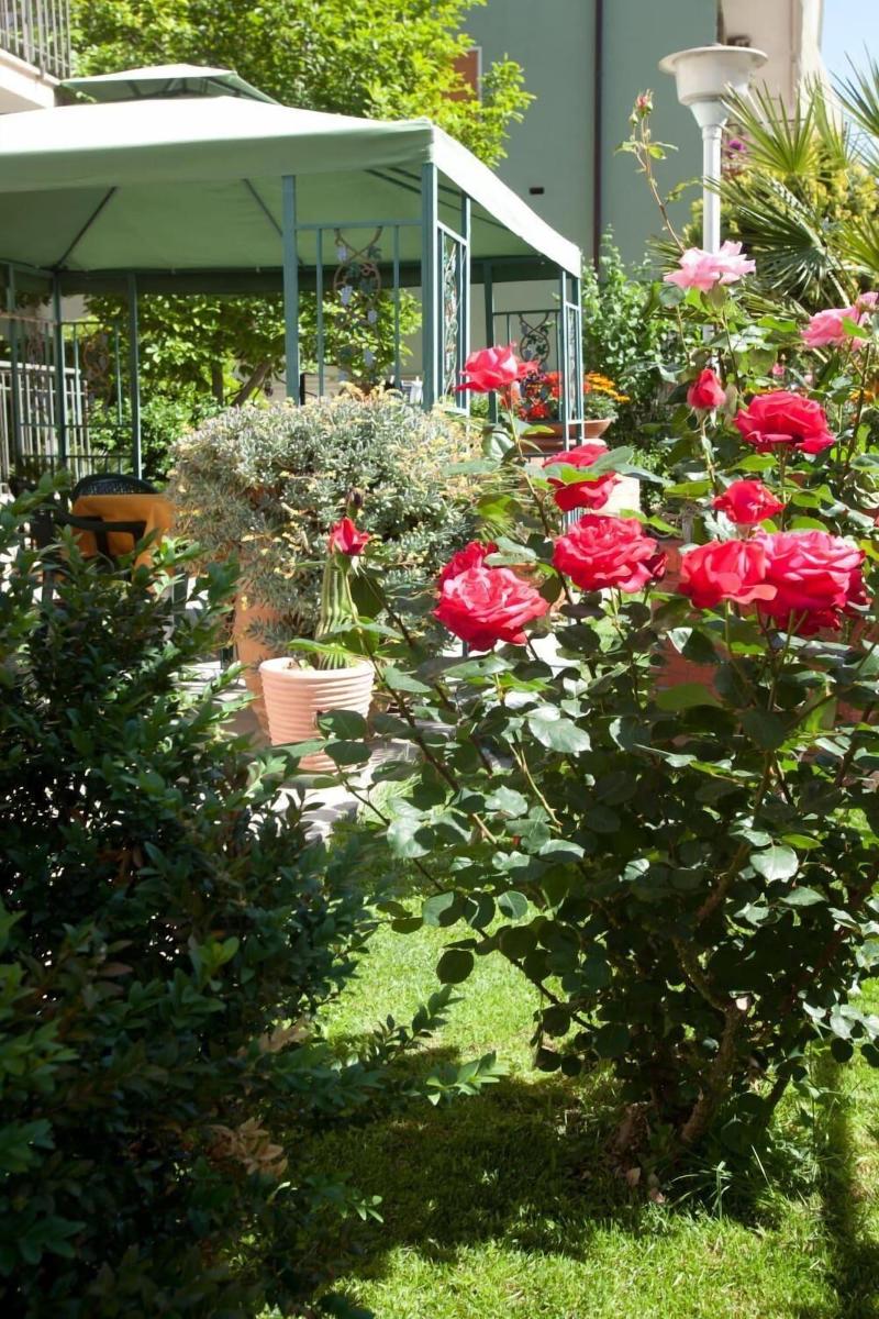 Hotel Corallo - Genel