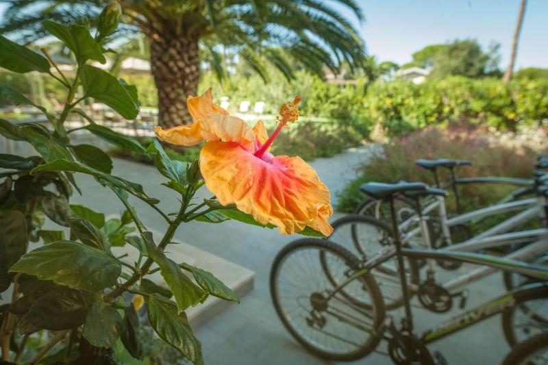 Arli Hotel Hideaway Punta Ala - Aktivite