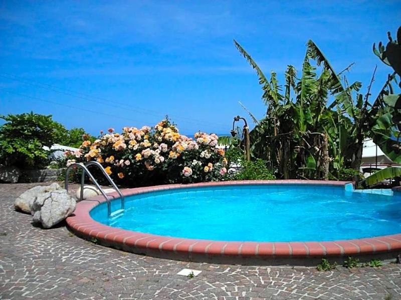 Hotel Gallo Nero - Genel