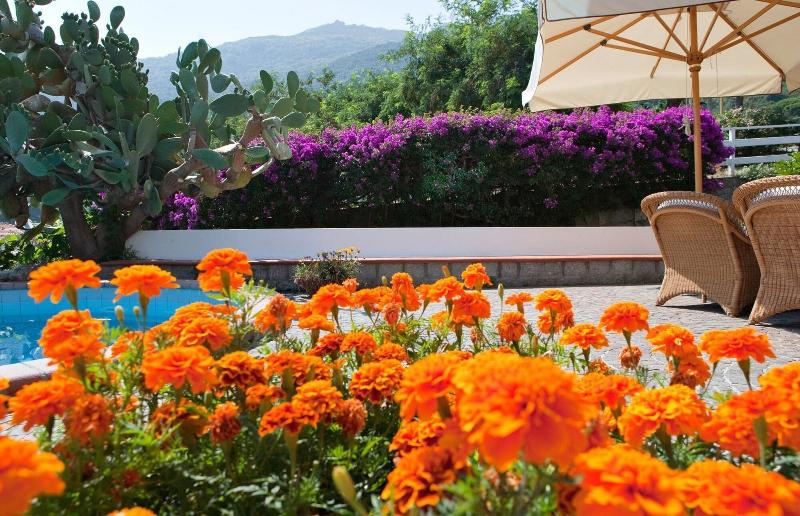 Hotel Gallo Nero - Genel