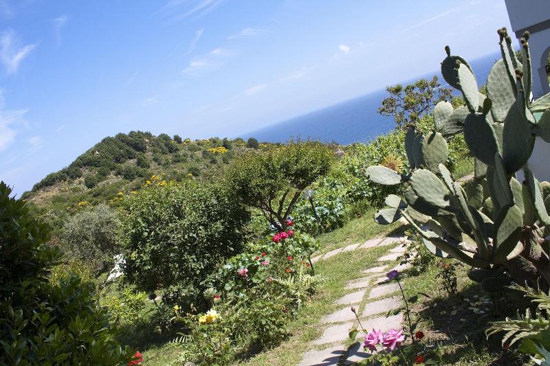 Hotel Gallo Nero - Genel
