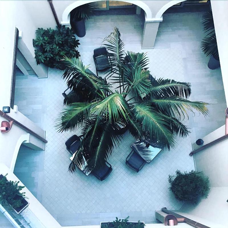 Regina Simius Hotel - Lobi