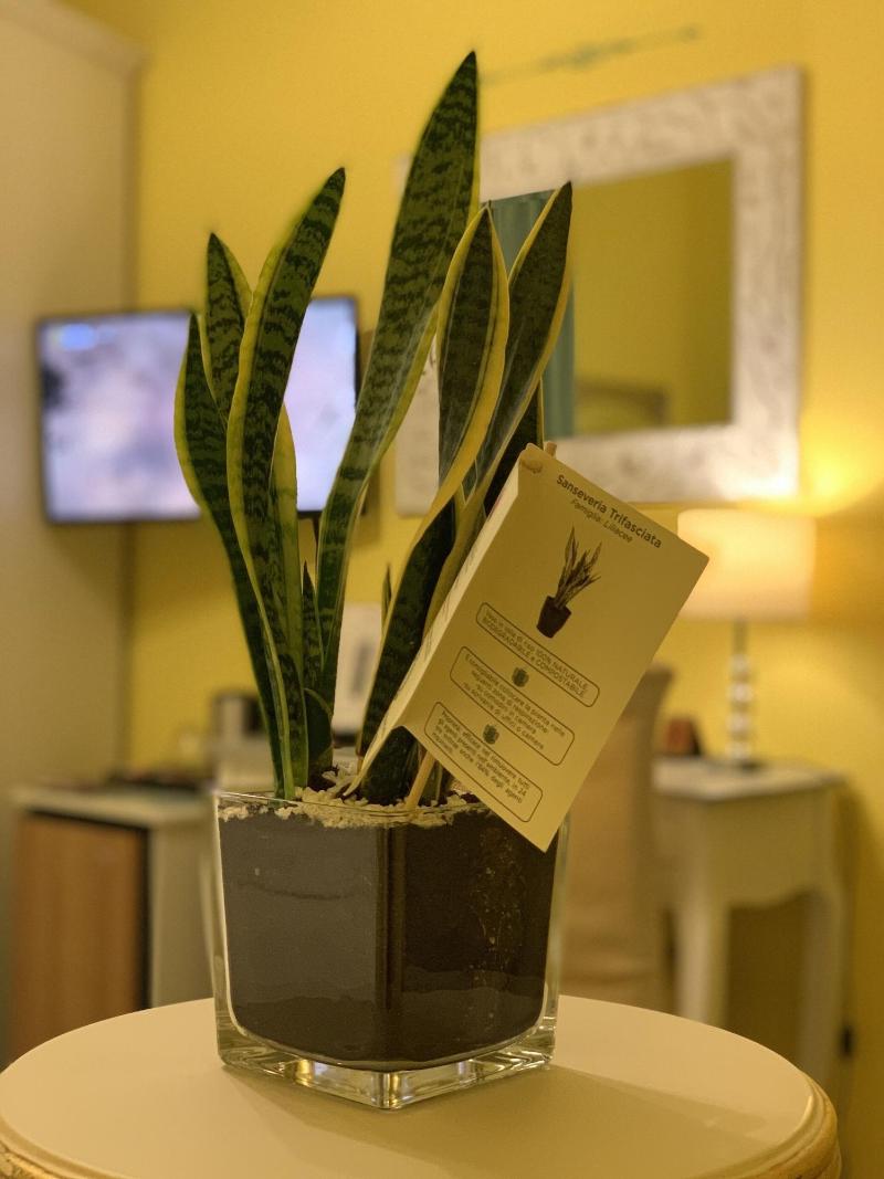 Hotel Palladium - Lobi