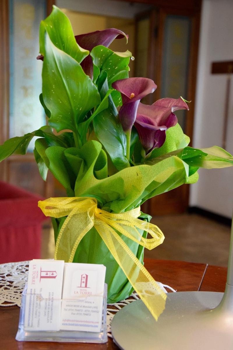 Hotel La Torre - Lobi