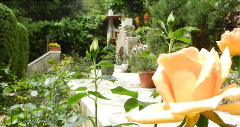 Hotel Paradiso - Genel