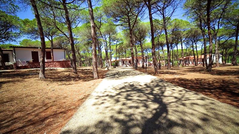 Villaggio Dei Pini - Genel