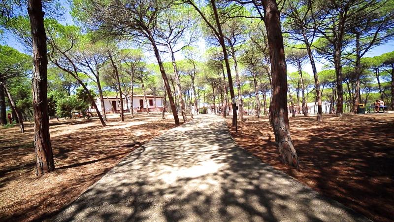 Villaggio Dei Pini - Genel