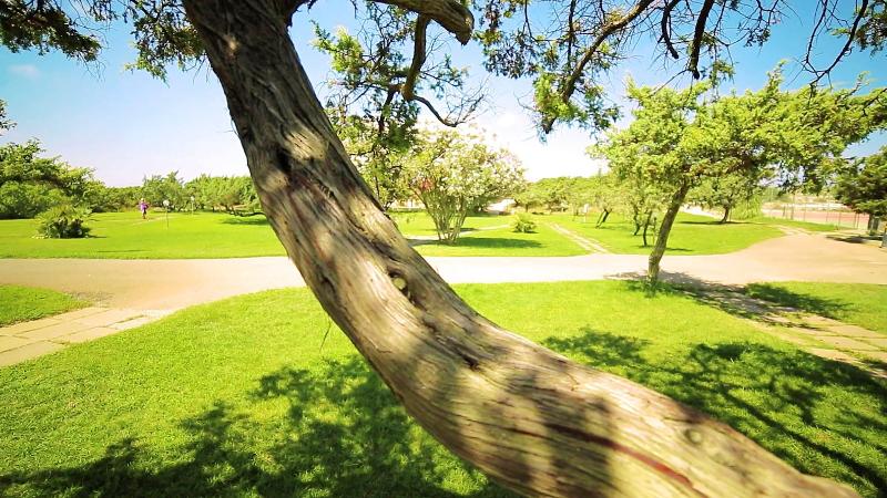 Villaggio Dei Pini - Genel