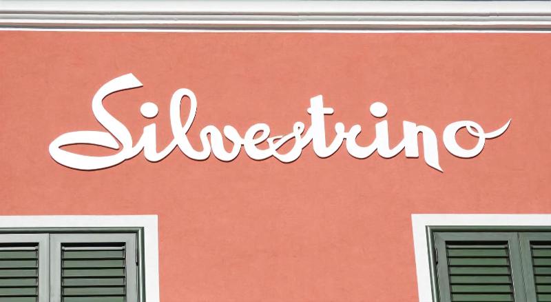 Hotel Ristorante Silvestrino - Genel