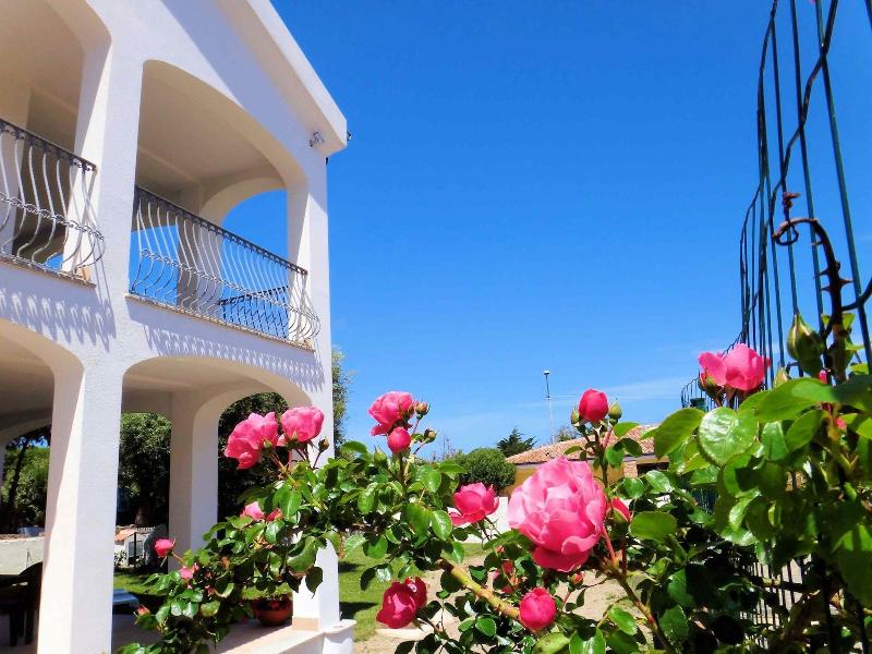 Hotel Tartaruga Bianca - Oda
