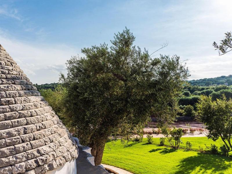 Borgo Canonica - Genel