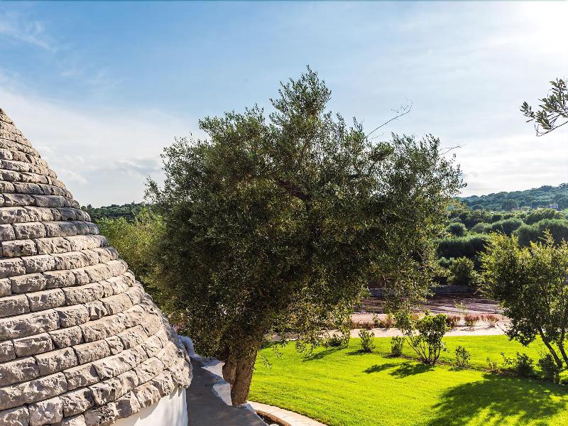 Borgo Canonica - Genel