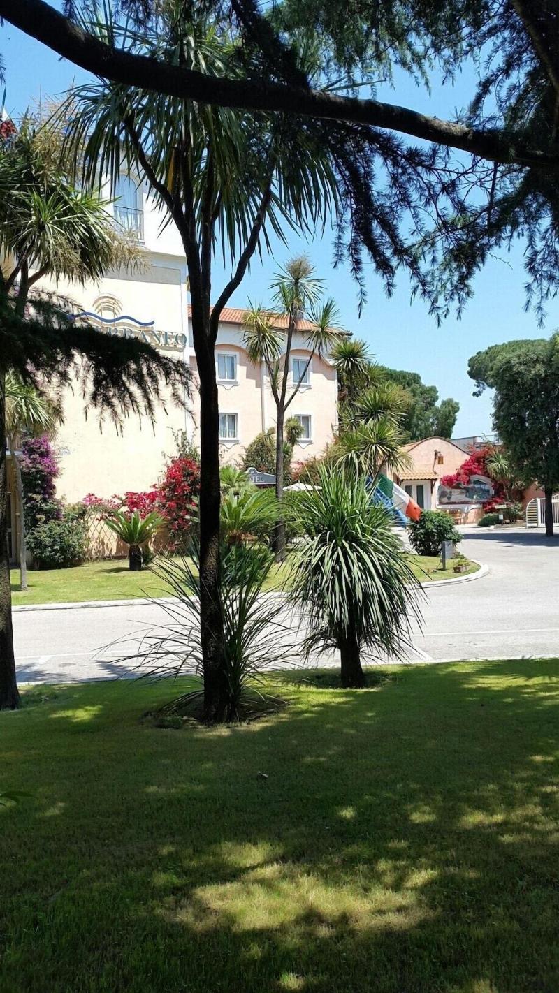 Hotel Mediterraneo - Genel