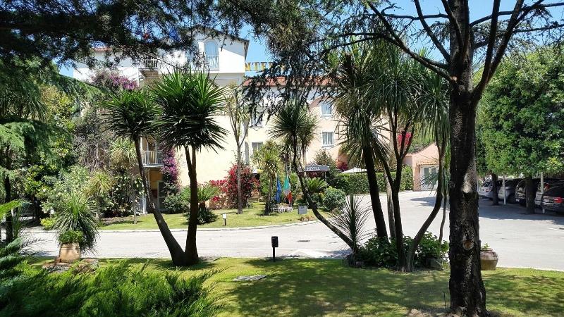 Hotel Mediterraneo - Genel