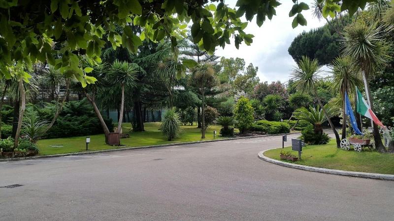 Hotel Mediterraneo - Genel
