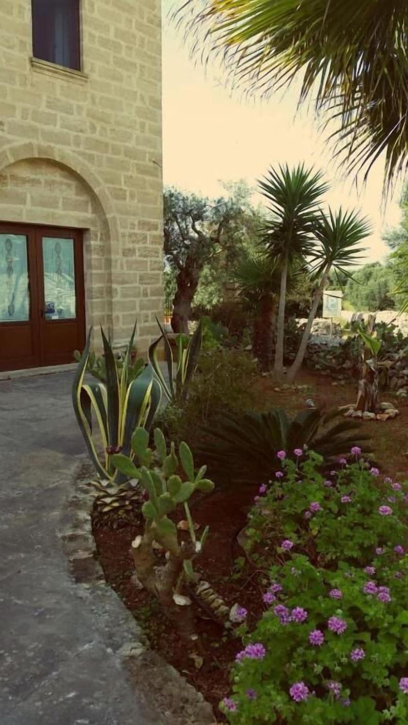 Masseria Ruri Pulcra - Genel