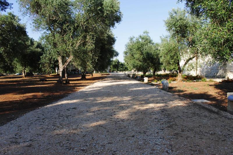 Tenuta Pigliano - Aktivite