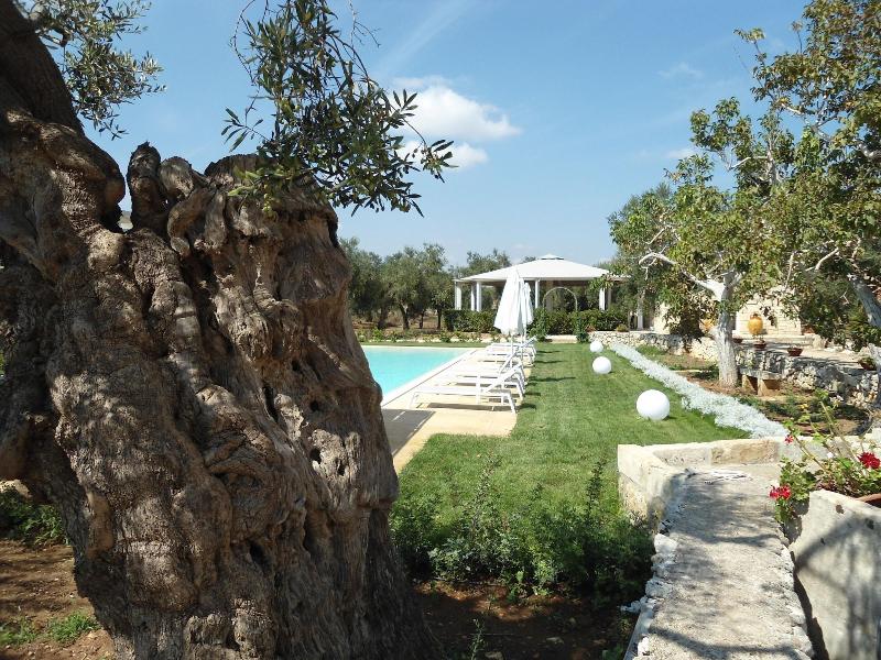 Tenuta Pigliano - Genel