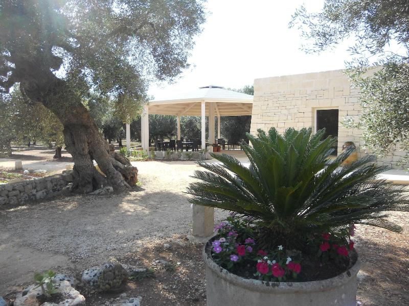 Tenuta Pigliano - Genel