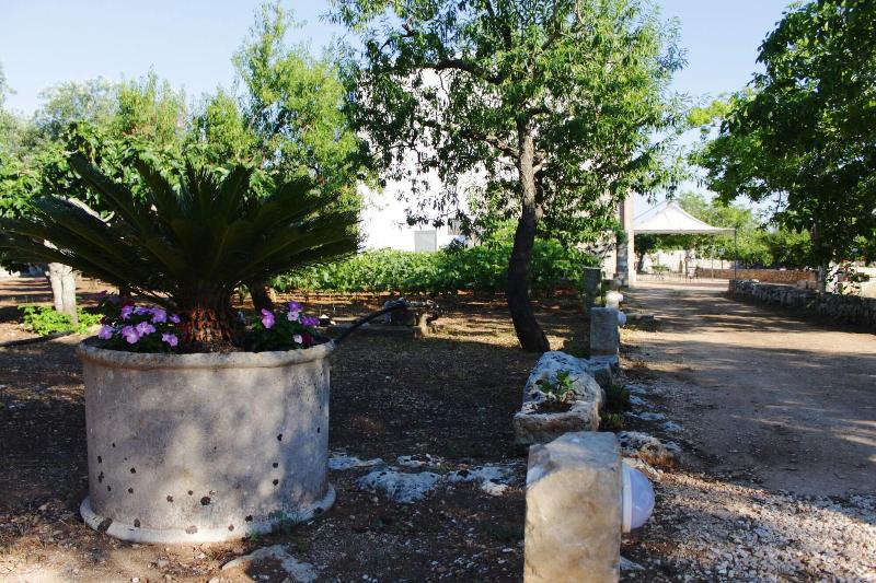 Tenuta Pigliano - Genel
