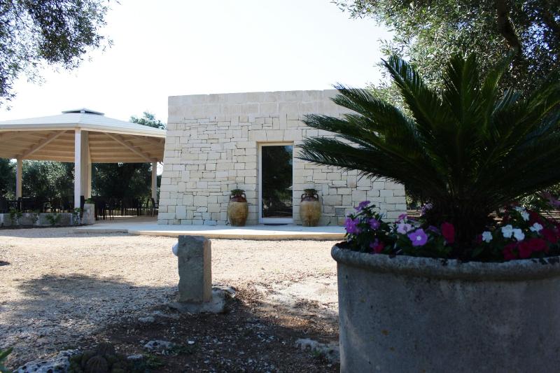 Tenuta Pigliano - Teras