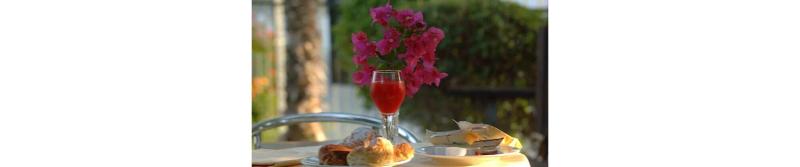 Villa Orchidea - Restoran