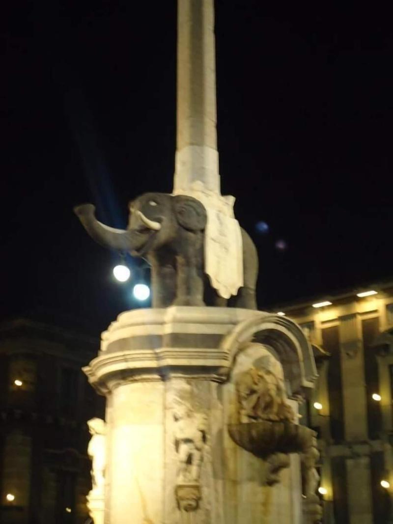 Hotel Trieste Catania - Genel