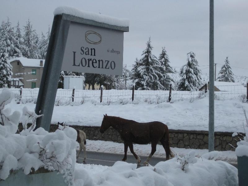 San Lorenzo Si Alberga - Genel
