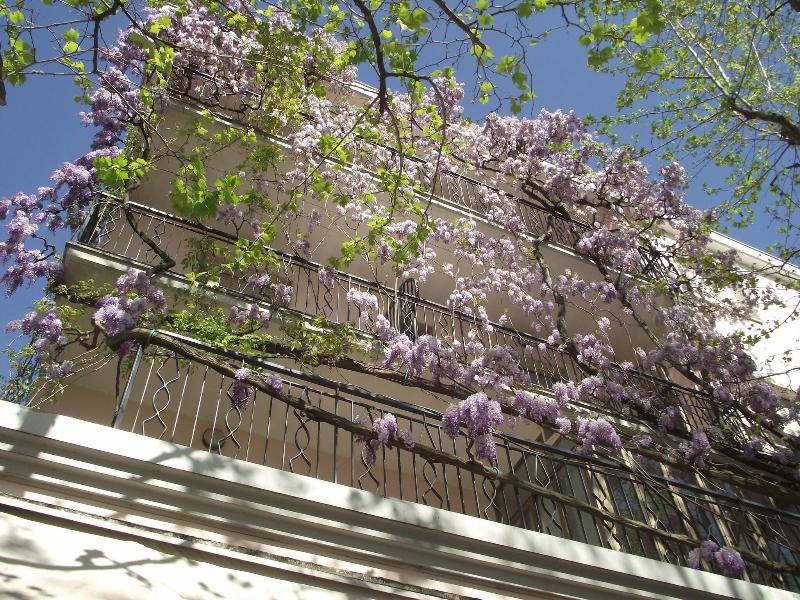 Albergo Villa Lucia - Genel
