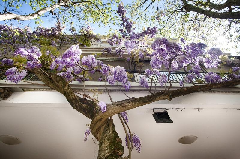 Albergo Villa Lucia - Genel