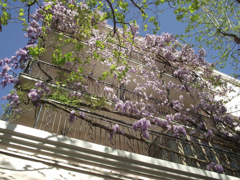 Albergo Villa Lucia - Genel