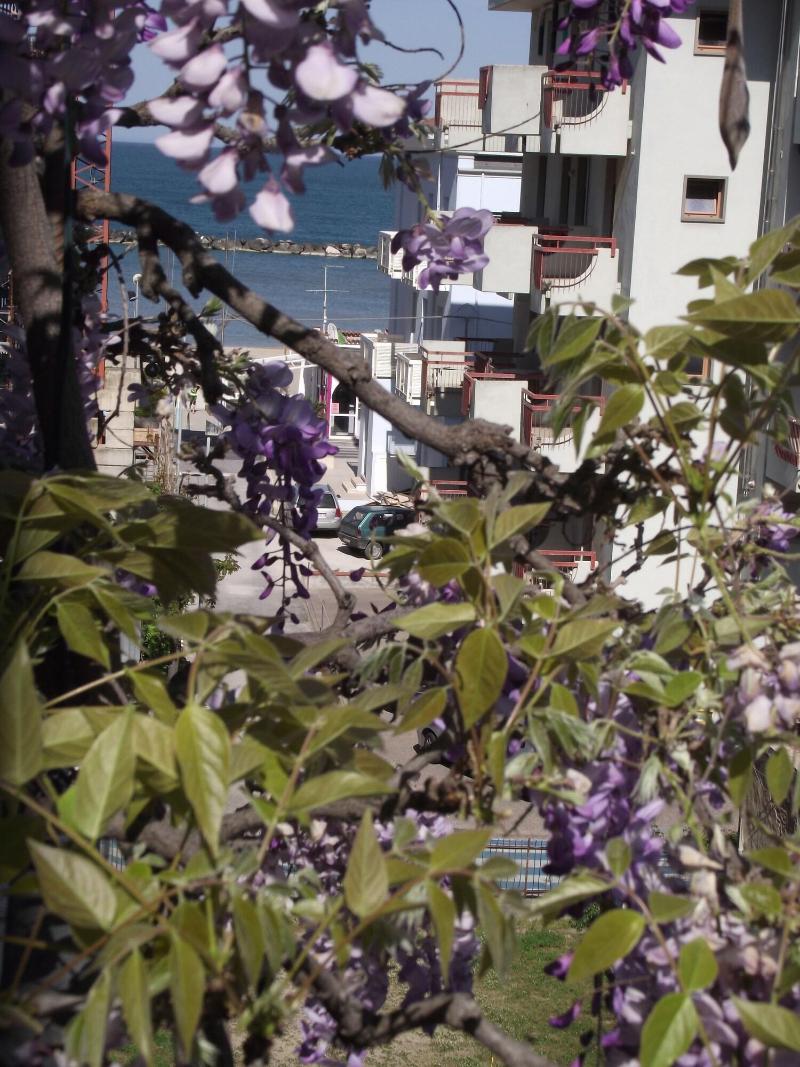 Albergo Villa Lucia - Genel