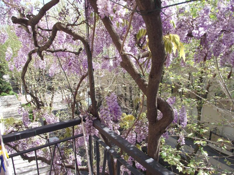 Albergo Villa Lucia - Oda