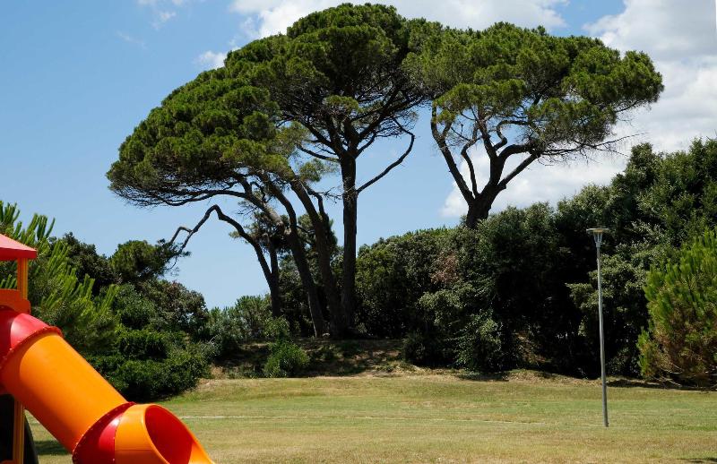 I Cinque Pini - Aktivite