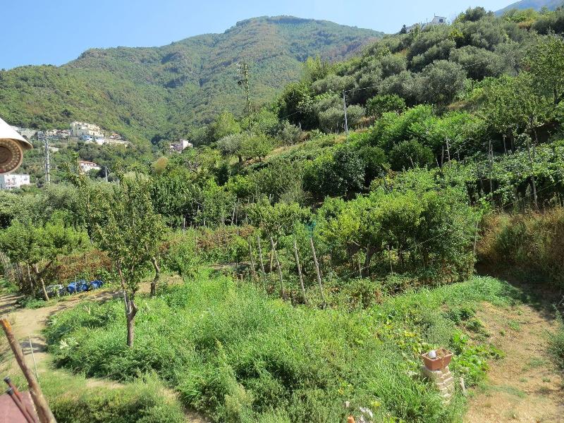 Hotel Elisabetta - Oda