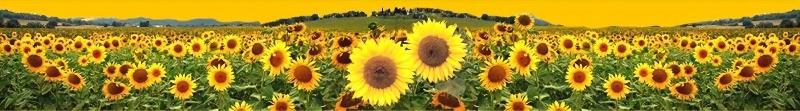 Il Girasole Hotel - Oda