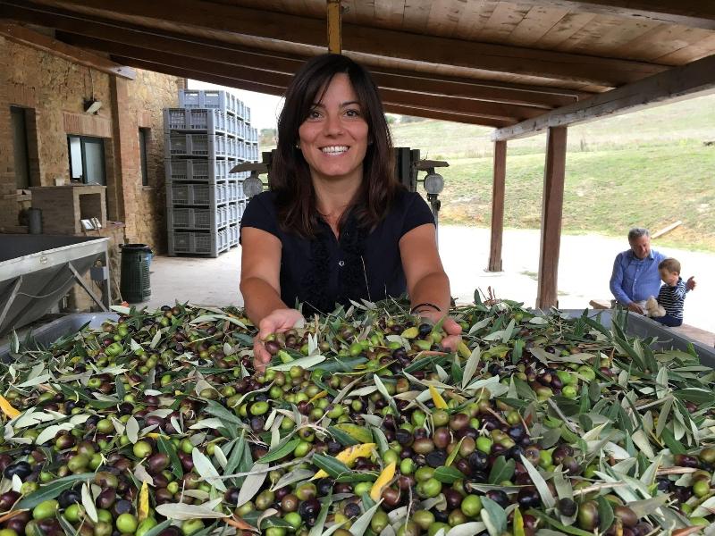 Agriturismo Il Macchione - Aktivite