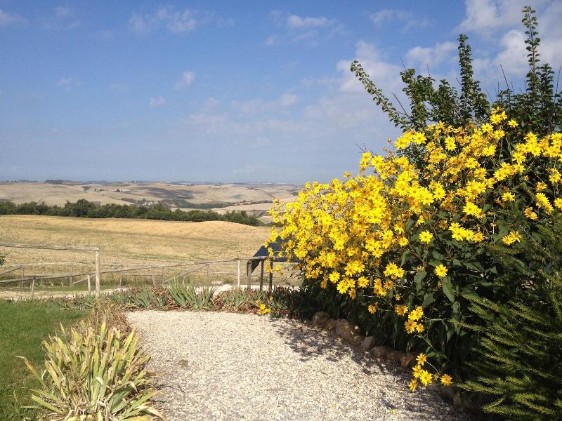 Agriturismo Il Macchione - Genel