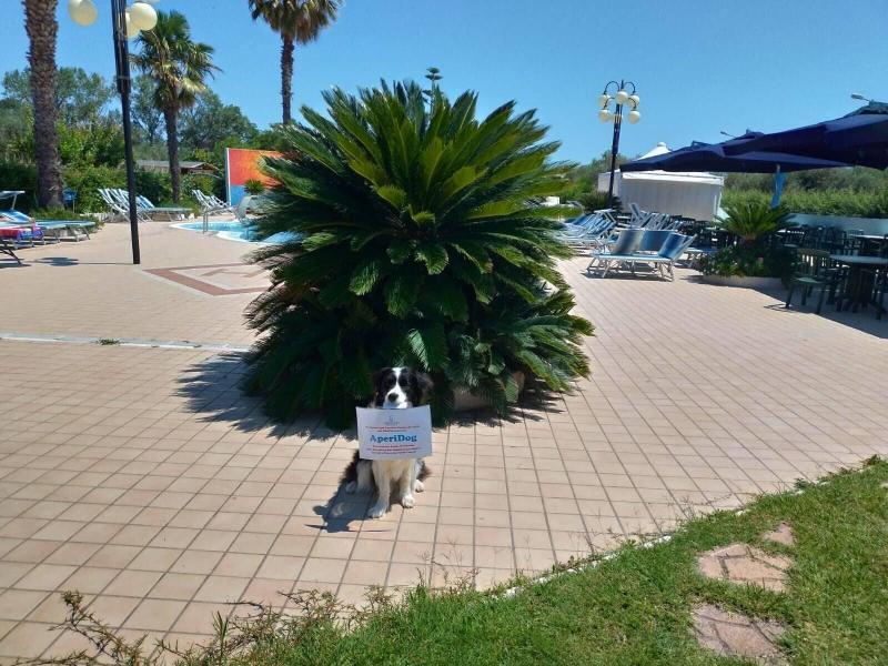 Hotel Marina - Oda